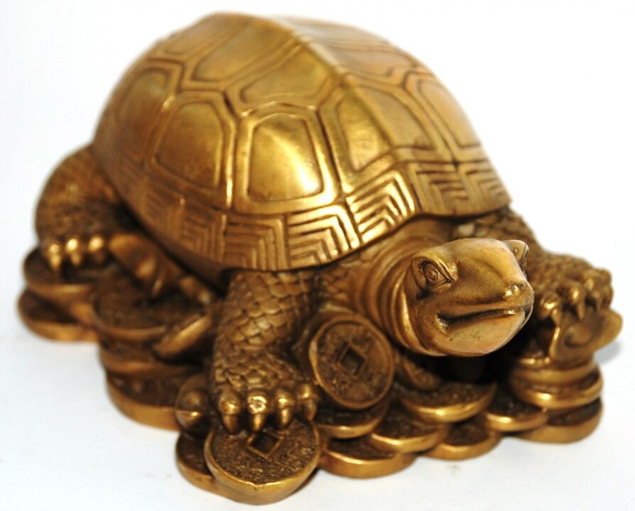 tartaruga talismã de riqueza e boa sorte