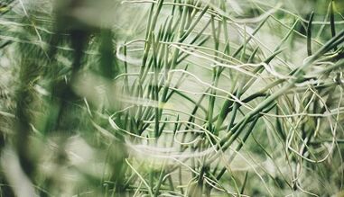 Como fazer um amuleto de boa sorte com as próprias mãos