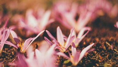 como fazer um amuleto de boa sorte com suas próprias mãos