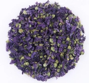 Secos de flores de violeta